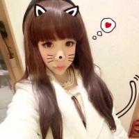 ձͣ׼뾳 Ӣ䶨ڿ˺ͣ